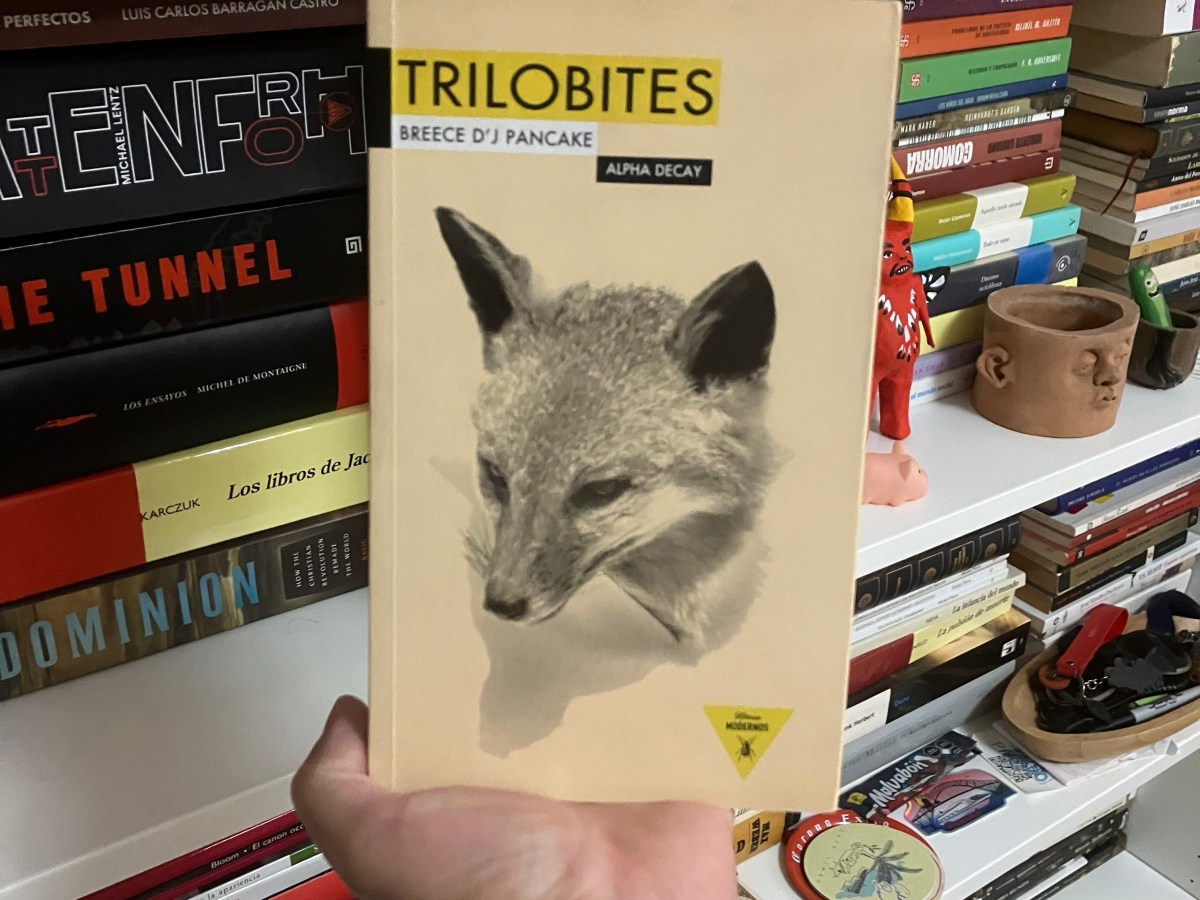 Something in the way: leer a Breece D’J Pancake y habitar la&nbsp;oscuridad